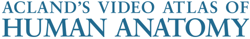 Aclands_logo.png