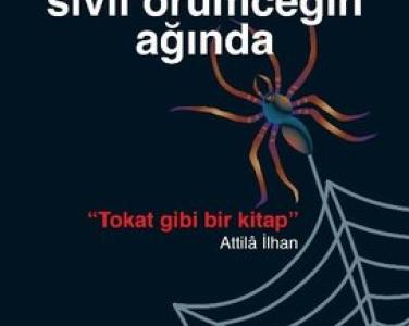 Sivil örümceğin ağında project democracy